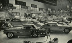 hacer click para ampliar