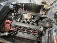 hacer click para ampliar