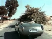 hacer click para ampliar